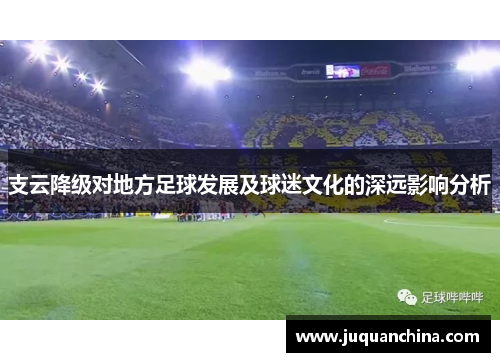 支云降级对地方足球发展及球迷文化的深远影响分析